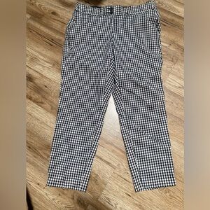 Lane Bryant pants